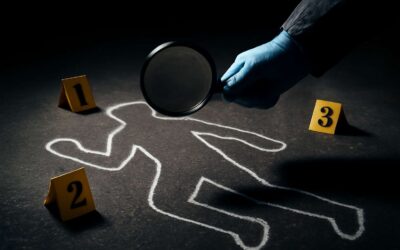 Pulse on the Case: dive into crime and investigation thrills.